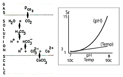Fluid Dynamics 4