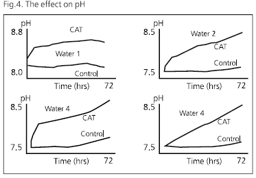 Fluid Dynamics 6