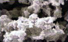 Untreatedcc3000